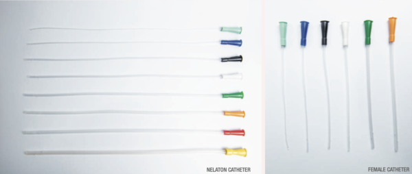 Female and nelaton catheter